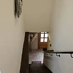 Pfotenglueck Nahe Ostsee Mit Atemberaubender Dachterrasse & Gartenblick Appartement *