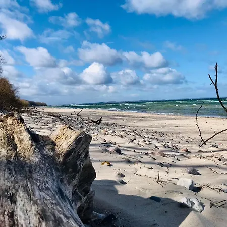 Pfotenglueck Nahe Ostsee Mit Atemberaubender Dachterrasse & Gartenblick Appartement *