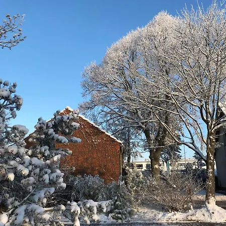 Pfotenglueck Nahe Ostsee Mit Atemberaubender Dachterrasse & Gartenblick Apartment