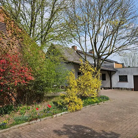 Pfotenglueck Nahe Ostsee Mit Atemberaubender Dachterrasse & Gartenblick Apartment