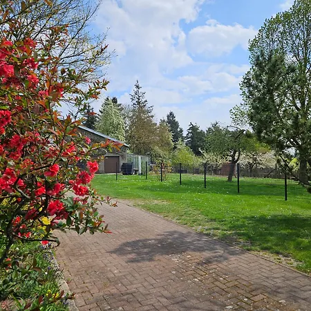 Pfotenglueck Nahe Ostsee Mit Atemberaubender Dachterrasse & Gartenblick * Mallentin