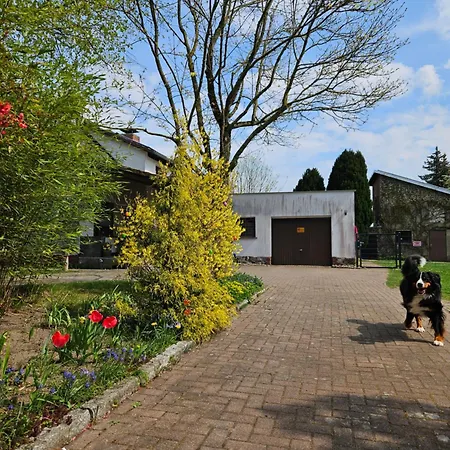 Pfotenglueck Nahe Ostsee Mit Atemberaubender Dachterrasse & Gartenblick Appartement Mallentin